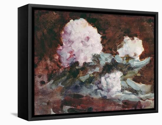 Rhododendrons-Hercules Brabazon Brabazon-Framed Stretched Canvas
