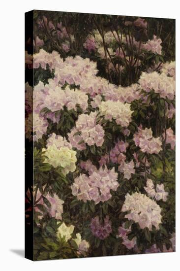 Rhododendrons-Alfrida Vilhelmine Ludovica Baadsgaard-Stretched Canvas