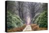 Rhodondendron Lane-Cora Niele-Stretched Canvas