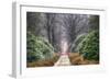 Rhodondendron Lane-Cora Niele-Framed Photographic Print