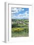 Rhone Valley, Chateauneuf du Pape, France-Jim Engelbrecht-Framed Photographic Print