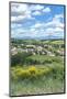 Rhone Valley, Chateauneuf du Pape, France-Jim Engelbrecht-Mounted Photographic Print