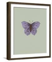 Rhopalocera-Maria Mendez-Framed Giclee Print