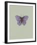 Rhopalocera-Maria Mendez-Framed Giclee Print