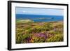 Rhossili Bay, Gower Peninsula, Wales, United Kingdom, Europe-Billy Stock-Framed Photographic Print