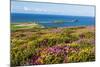 Rhossili Bay, Gower Peninsula, Wales, United Kingdom, Europe-Billy Stock-Mounted Photographic Print