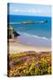 Rhossili Bay, Gower Peninsula, Wales, United Kingdom, Europe-Billy Stock-Stretched Canvas