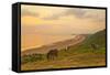 Rhossili Bay, Gower Peninsula, Wales, United Kingdom, Europe-Billy-Framed Stretched Canvas