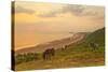 Rhossili Bay, Gower Peninsula, Wales, United Kingdom, Europe-Billy-Stretched Canvas