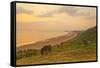 Rhossili Bay, Gower Peninsula, Wales, United Kingdom, Europe-Billy-Framed Stretched Canvas