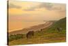 Rhossili Bay, Gower Peninsula, Wales, United Kingdom, Europe-Billy-Stretched Canvas