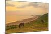 Rhossili Bay, Gower Peninsula, Wales, United Kingdom, Europe-Billy-Mounted Photographic Print