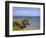 Rhossili Bay, Gower Peninsula, Wales, United Kingdom, Europe-Billy Stock-Framed Photographic Print