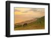 Rhossili Bay, Gower Peninsula, Wales, United Kingdom, Europe-Billy-Framed Photographic Print