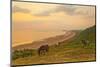 Rhossili Bay, Gower Peninsula, Wales, United Kingdom, Europe-Billy-Mounted Photographic Print