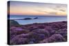 Rhossili Bay, Worms End, Gower Peninsula, Wales, United Kingdom, Europe-Billy Stock-Stretched Canvas