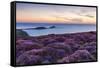 Rhossili Bay, Worms End, Gower Peninsula, Wales, United Kingdom, Europe-Billy Stock-Framed Stretched Canvas