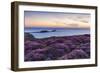 Rhossili Bay, Worms End, Gower Peninsula, Wales, United Kingdom, Europe-Billy Stock-Framed Photographic Print