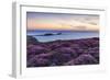 Rhossili Bay, Worms End, Gower Peninsula, Wales, United Kingdom, Europe-Billy Stock-Framed Photographic Print