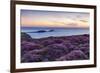 Rhossili Bay, Worms End, Gower Peninsula, Wales, United Kingdom, Europe-Billy Stock-Framed Photographic Print