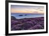 Rhossili Bay, Worms End, Gower Peninsula, Wales, United Kingdom, Europe-Billy Stock-Framed Photographic Print