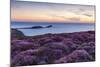 Rhossili Bay, Worms End, Gower Peninsula, Wales, United Kingdom, Europe-Billy Stock-Mounted Photographic Print