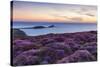 Rhossili Bay, Worms End, Gower Peninsula, Wales, United Kingdom, Europe-Billy Stock-Stretched Canvas
