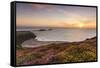 Rhossili Bay, Worms End, Gower Peninsula, Wales, United Kingdom, Europe-Billy-Framed Stretched Canvas