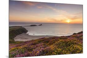 Rhossili Bay, Worms End, Gower Peninsula, Wales, United Kingdom, Europe-Billy-Mounted Photographic Print