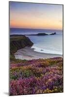 Rhossili Bay, Worms End, Gower Peninsula, Wales, United Kingdom, Europe-Billy-Mounted Photographic Print