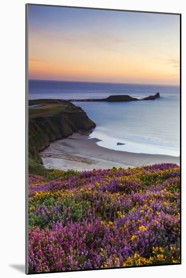 Rhossili Bay, Worms End, Gower Peninsula, Wales, United Kingdom, Europe-Billy-Mounted Photographic Print