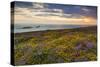 Rhossili Bay, Worms End, Gower Peninsula, Wales, United Kingdom, Europe-Billy-Stretched Canvas