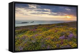 Rhossili Bay, Worms End, Gower Peninsula, Wales, United Kingdom, Europe-Billy-Framed Stretched Canvas