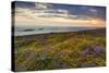 Rhossili Bay, Worms End, Gower Peninsula, Wales, United Kingdom, Europe-Billy-Stretched Canvas