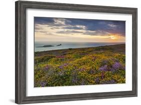 Rhossili Bay, Worms End, Gower Peninsula, Wales, United Kingdom, Europe-Billy-Framed Photographic Print