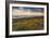 Rhossili Bay, Worms End, Gower Peninsula, Wales, United Kingdom, Europe-Billy-Framed Photographic Print