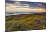 Rhossili Bay, Worms End, Gower Peninsula, Wales, United Kingdom, Europe-Billy-Mounted Photographic Print