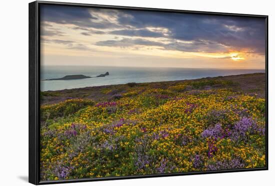 Rhossili Bay, Worms End, Gower Peninsula, Wales, United Kingdom, Europe-Billy-Framed Photographic Print