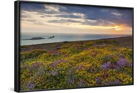 Rhossili Bay, Worms End, Gower Peninsula, Wales, United Kingdom, Europe-Billy-Framed Photographic Print