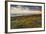 Rhossili Bay, Worms End, Gower Peninsula, Wales, United Kingdom, Europe-Billy-Framed Photographic Print