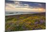 Rhossili Bay, Worms End, Gower Peninsula, Wales, United Kingdom, Europe-Billy-Mounted Photographic Print