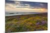 Rhossili Bay, Worms End, Gower Peninsula, Wales, United Kingdom, Europe-Billy-Mounted Photographic Print