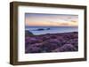 Rhossili Bay, Worms End, Gower Peninsula, Wales, United Kingdom, Europe-Billy Stock-Framed Photographic Print