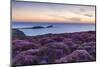 Rhossili Bay, Worms End, Gower Peninsula, Wales, United Kingdom, Europe-Billy Stock-Mounted Photographic Print