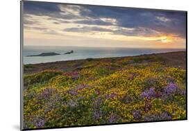 Rhossili Bay, Worms End, Gower Peninsula, Wales, United Kingdom, Europe-Billy-Mounted Photographic Print