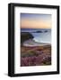 Rhossili Bay, Worms End, Gower Peninsula, Wales, United Kingdom, Europe-Billy-Framed Photographic Print