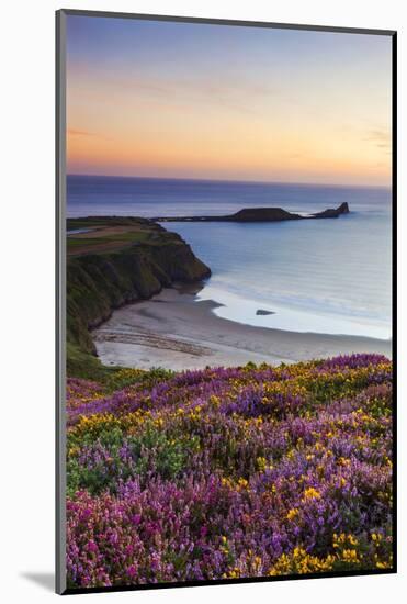 Rhossili Bay, Worms End, Gower Peninsula, Wales, United Kingdom, Europe-Billy-Mounted Photographic Print