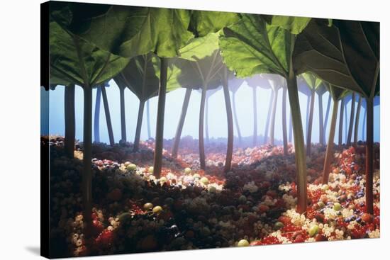 Rhubarb Forest with a Berry Floor-Hartmut Seehuber-Stretched Canvas