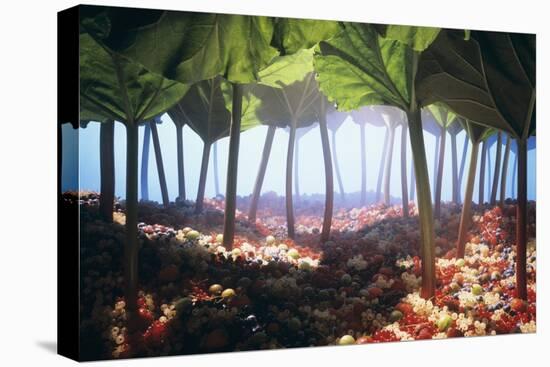 Rhubarb Forest with a Berry Floor-Hartmut Seehuber-Stretched Canvas
