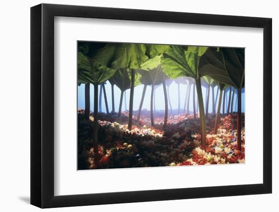 Rhubarb Forest with a Berry Floor-Hartmut Seehuber-Framed Premium Photographic Print